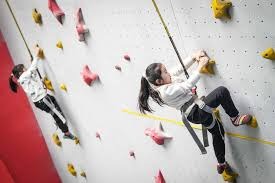 博彩行业的信息系统建设（博彩业信息系统构建）